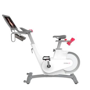 Купить Велотренажер Yesoul BV1-W PLUS в Пестове 